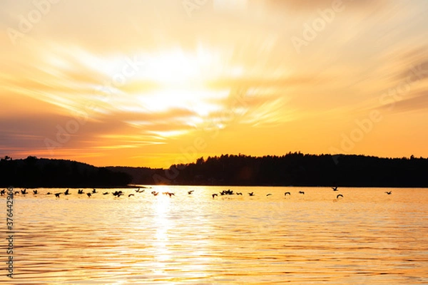 Fototapeta sunset over the sae