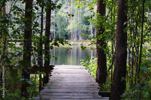 Obraz small bridge at a lake in swedish forest