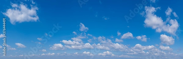Fototapeta White cumulus clouds in blue sky panoramic high resolution background
