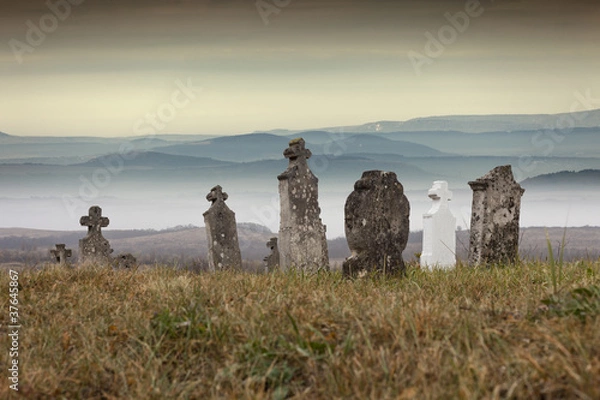 Obraz W stronę gór ...