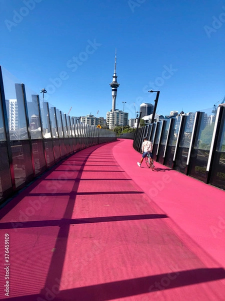 Obraz A man cycling in Auckland's Pink Path
