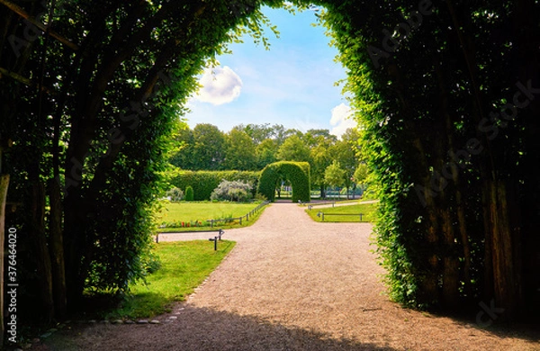 Fototapeta View through the green pergola into the palace gardens of Schwerin with a blue sky.