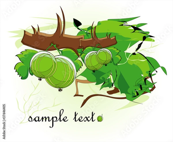 Obraz gooseberry decorative background