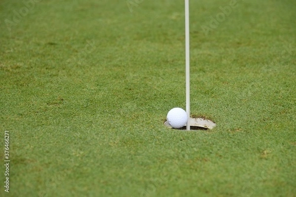 Obraz ゴルフカップイン