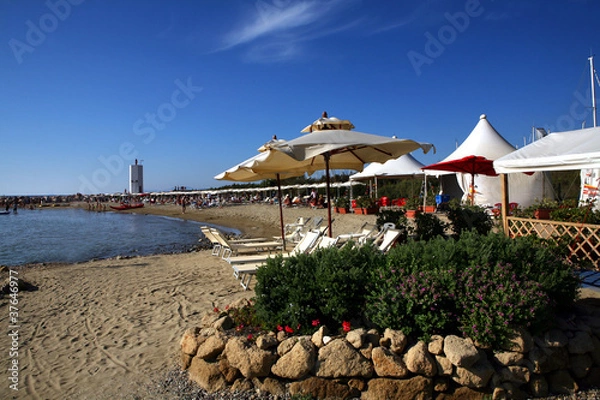 Fototapeta punta ala