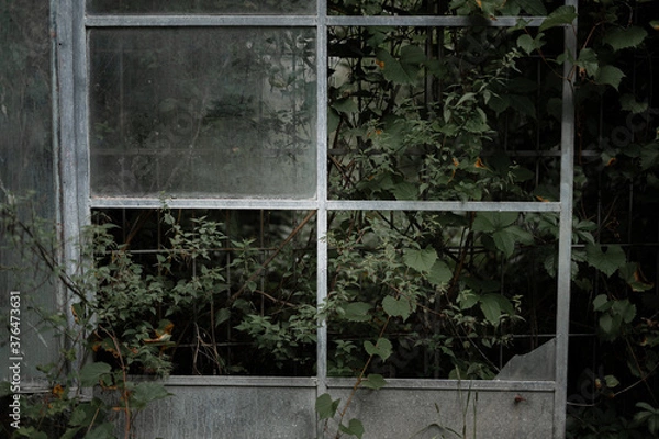 Fototapeta Old and moody architecture photography