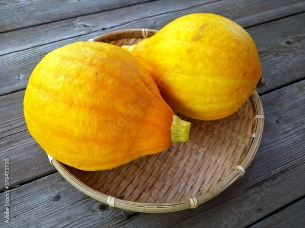 Obraz かぼちゃ　コリンキー