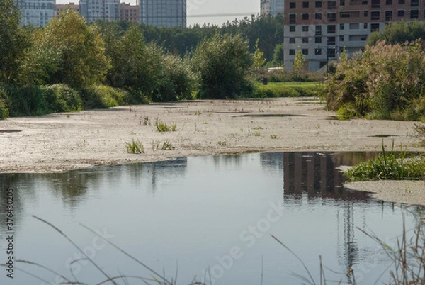 Obraz the river in the park