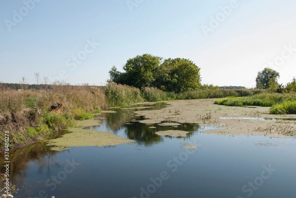 Obraz landscape with a river in the netherlands