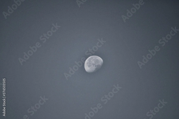 Obraz moon in the sky