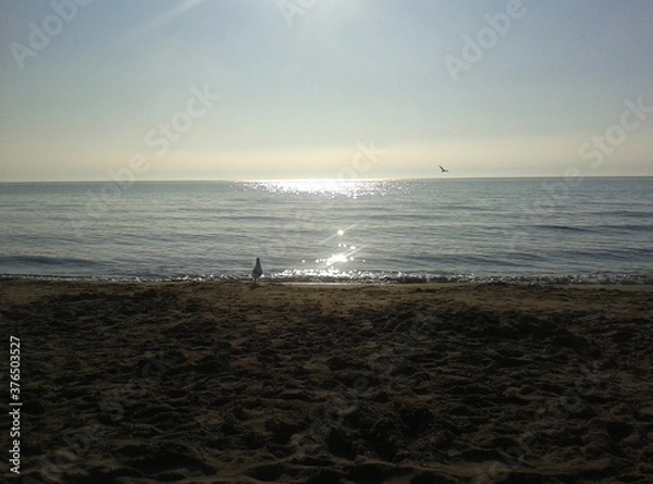 Obraz Waiting on the beach