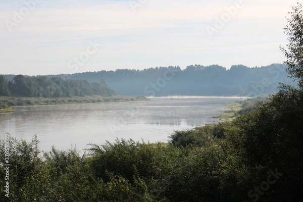 Fototapeta View of the misty river from the morning in summer