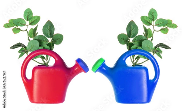 Obraz Watering Cans