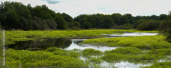 Obraz pond in sologne