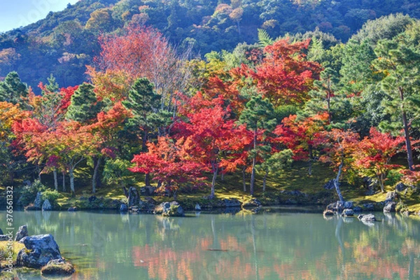 Obraz 天龍寺の曹源池庭園