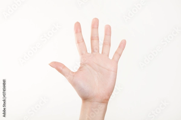 Fototapeta 手の平