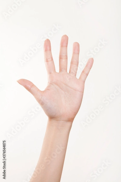 Fototapeta 手の平