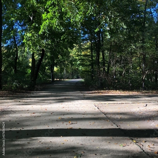 Obraz road in the park