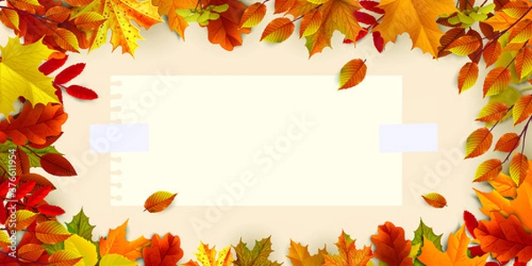 Fototapeta Greetings and gifts for the autumn and autumn season concept. Autumn background, poster and banner template with colorful autumn leaves.