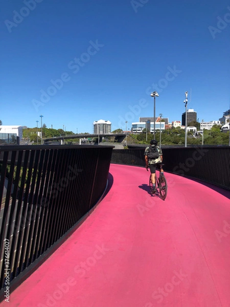 Obraz A man cycling in Auckland's Pink Path