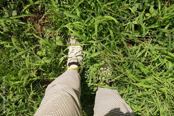 Obraz 夏の草むらに一歩踏み出す