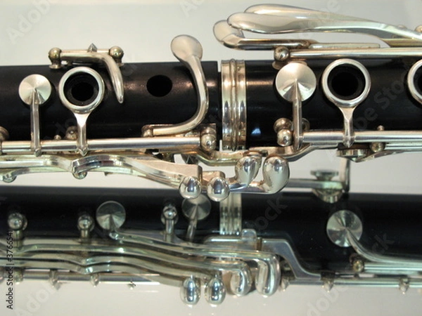 Obraz Clarinet in the Mirror