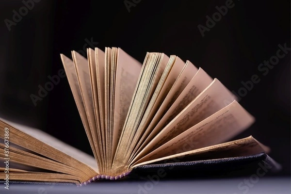 Fototapeta Opened old book with gold pages on a black background