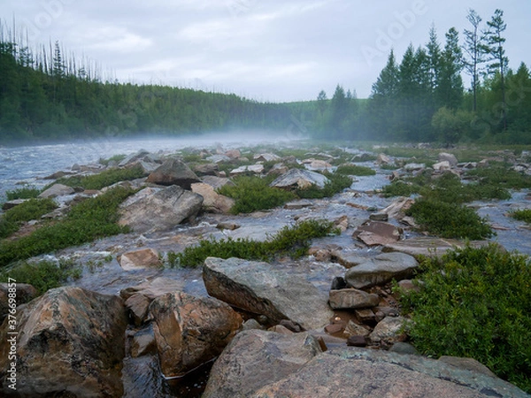 Obraz big waves on a mountain river big rocks and plants in the foreground against the background of mountains and forests in the fog