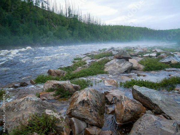 Obraz big waves on a mountain river big rocks and plants in the foreground against the background of mountains and forests in the fog