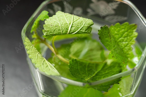 Obraz アップルミント