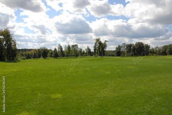 Fototapeta green grass and blue sky