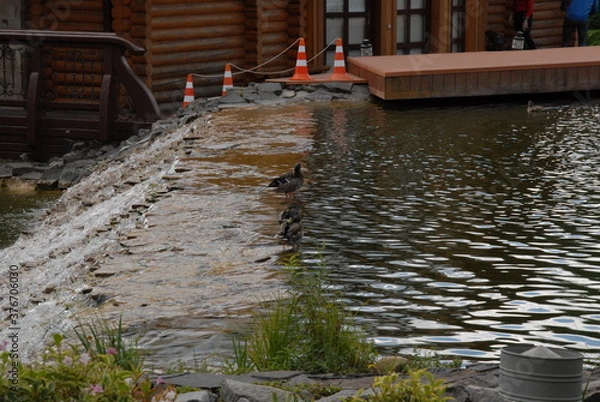 Obraz river and bridge