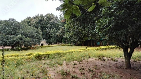 Obraz A day out at Yelagiri