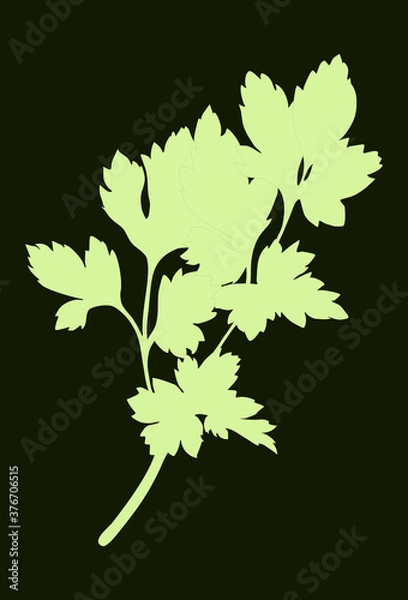 Fototapeta Green Parsley silhouette isolated on dark background. Vector illustration. Fresh food