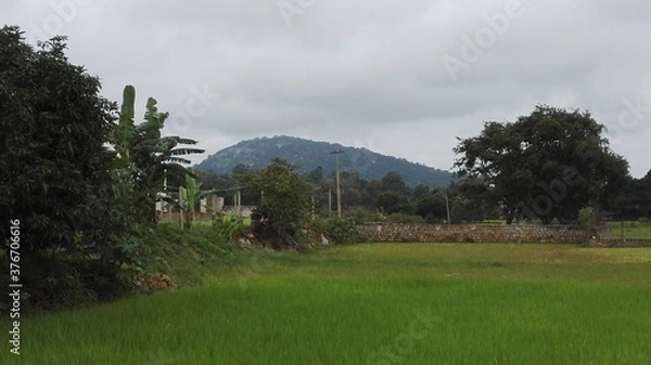 Obraz A day out at Yelagiri