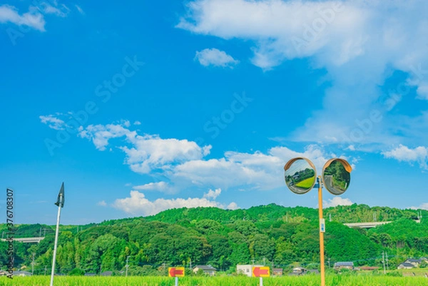 Obraz 田舎の横断歩道とカーブミラー