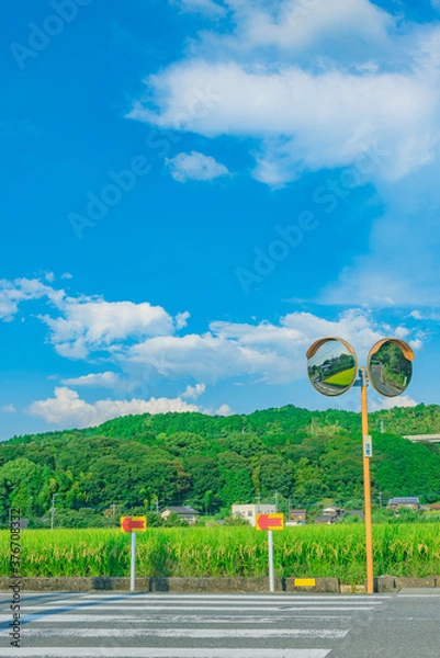 Obraz 田舎の横断歩道とカーブミラー