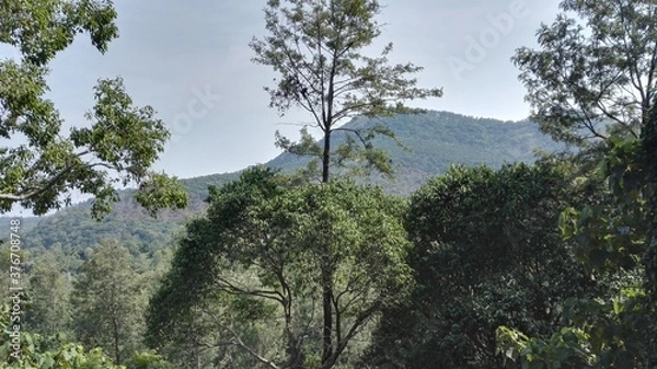 Obraz A day out at Yercaud