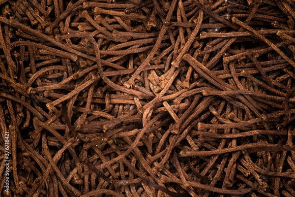 Obraz close up objects