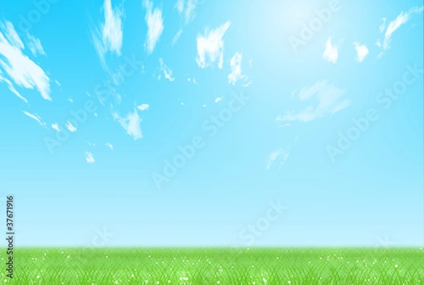 Obraz 青空と草原