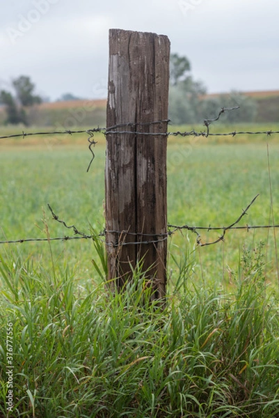 Fototapeta fence in a field