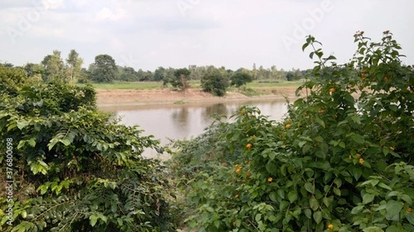 Obraz the river in the forest