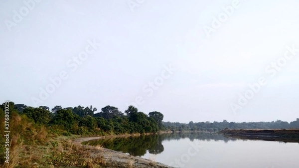 Obraz lake and forest with river