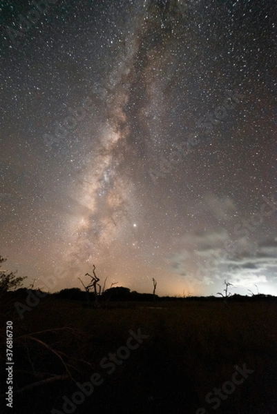Obraz Milky Way observed from Las Coloradas, Mexico