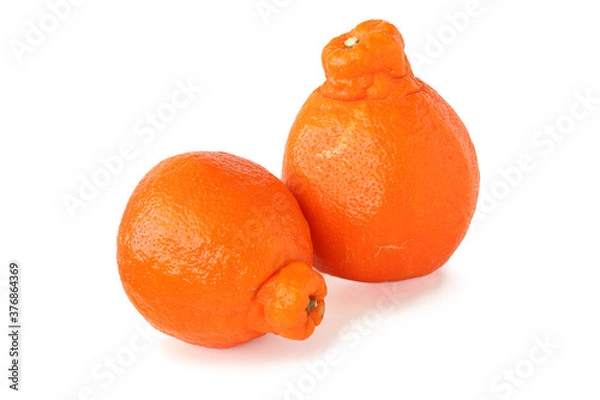 Obraz Two mineolas isolated on white