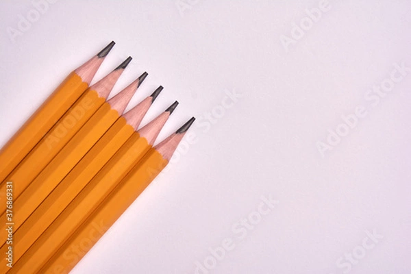 Obraz lead pencil on white background