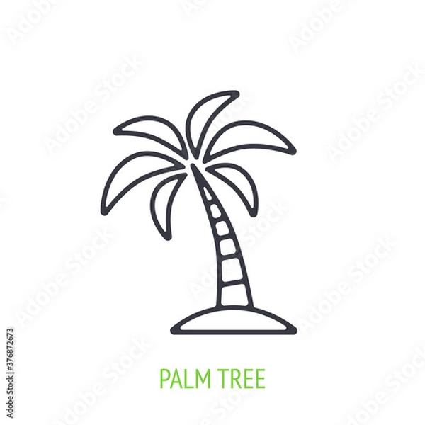 Fototapeta Palm tree outline icon. Vector illustration. Tropical and island forest. Symbol of summertime, travel and beach paradise. Thin line pictogram for user interface. Isolated white background