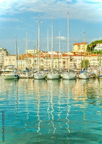 Fototapeta A row of yachts in Cannes Harbour