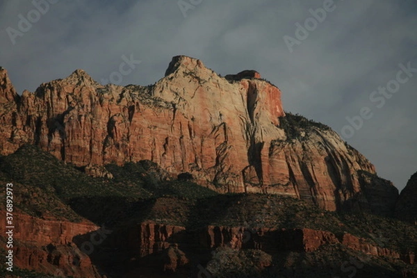 Obraz アメリカの早春のザイオンナショナルパーク