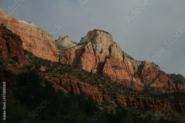 Obraz アメリカの早春のザイオンナショナルパーク